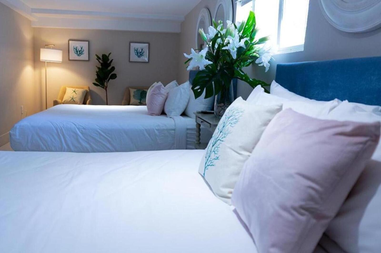 מיאמי ביץ' The Harrison Hotel מראה חיצוני תמונה